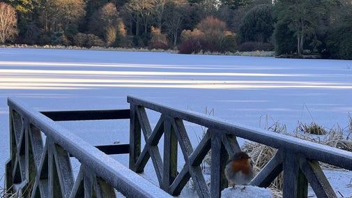 Frozen lake over winter